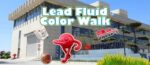 At Lead Fluid, Embark on A Spring Time Color Walk